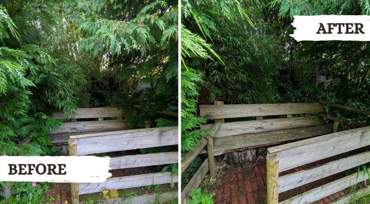 Before and after picture from a garden tidy project in Machynlleth
