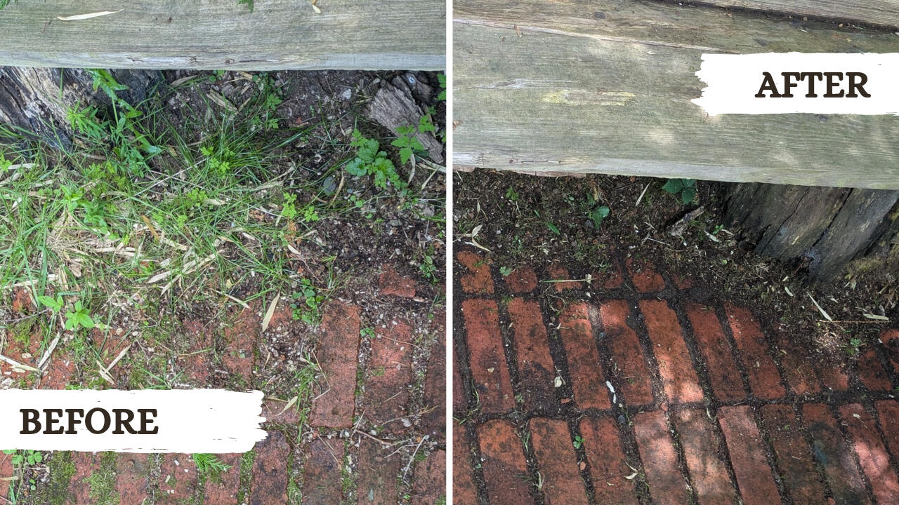 Before and after picture from a garden tidy project in Machynlleth