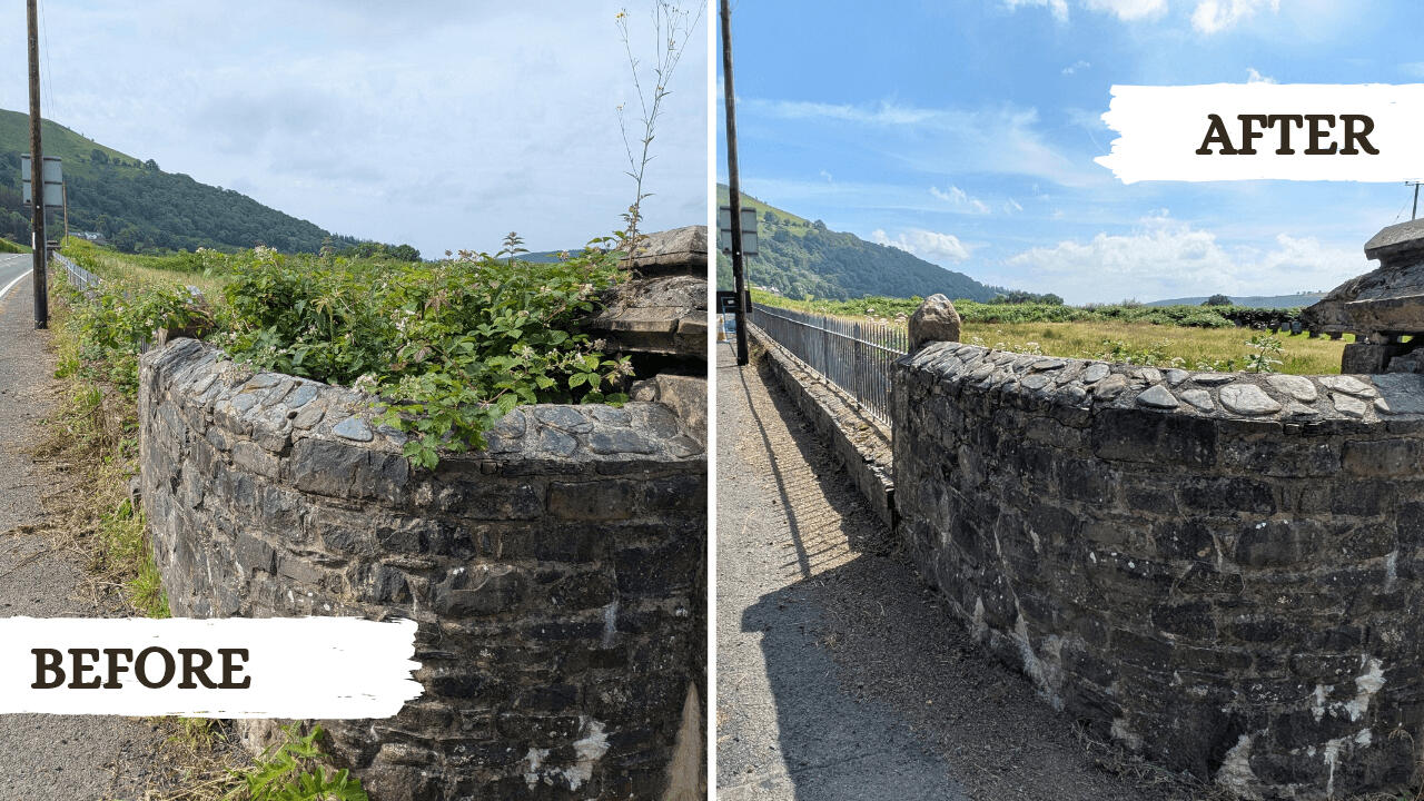 Before and after picture from a garden tidy project in Machynlleth