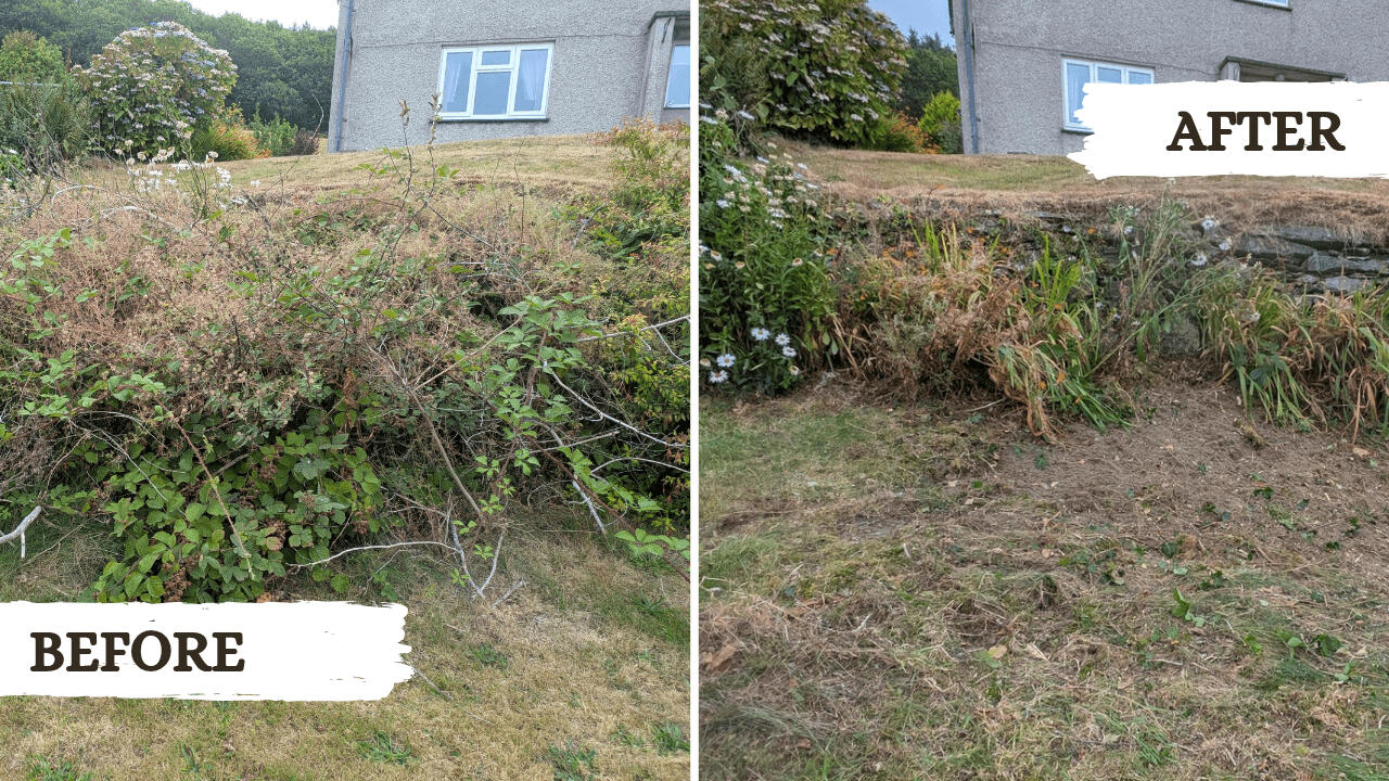 Before and after picture from a garden tidy project in Machynlleth