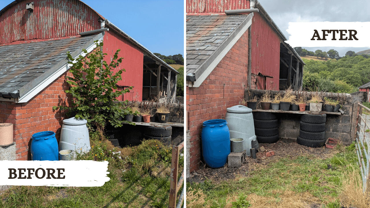 Before and after picture from a garden tidy project in Machynlleth