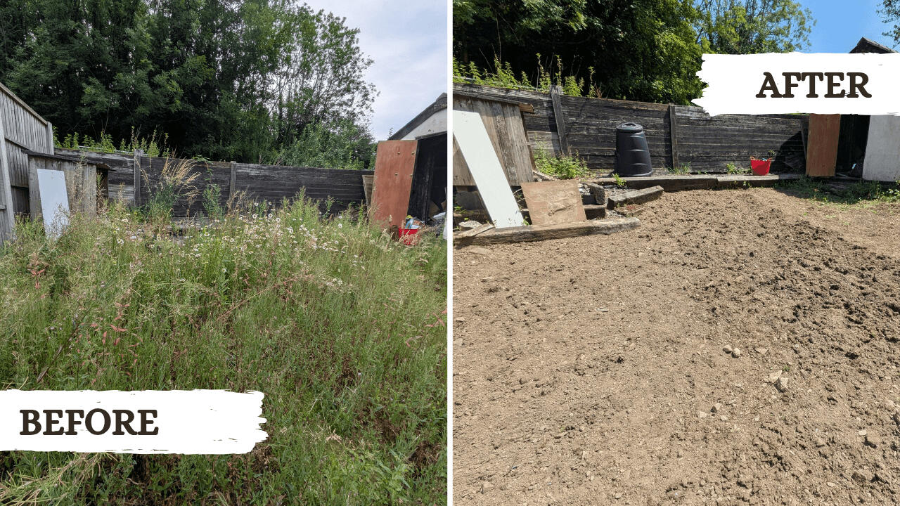 Before and after picture from a garden tidy project in Machynlleth