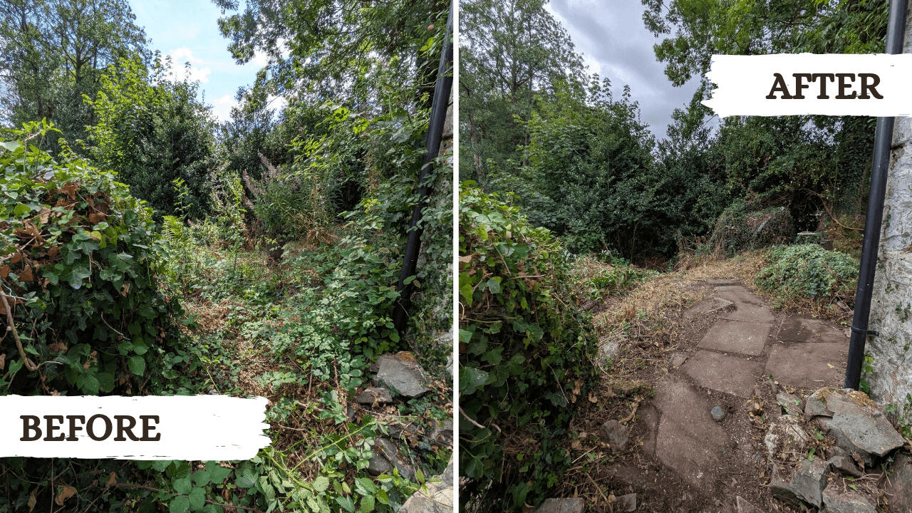Weeding Before and after picture from a garden tidy project in Machynlleth