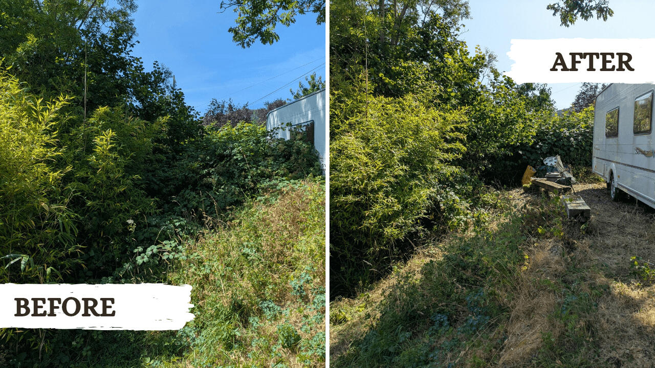 Before and after picture from a garden tidy project in Machynlleth