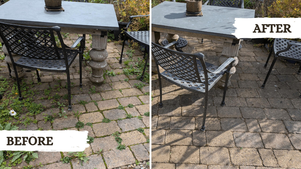 Before and after picture from a garden tidy project in Machynlleth