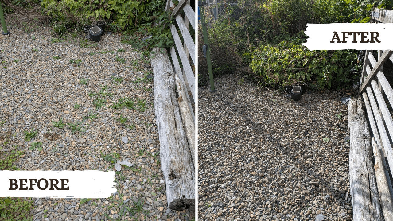 Weeding Before and after picture from a garden tidy project in Machynlleth